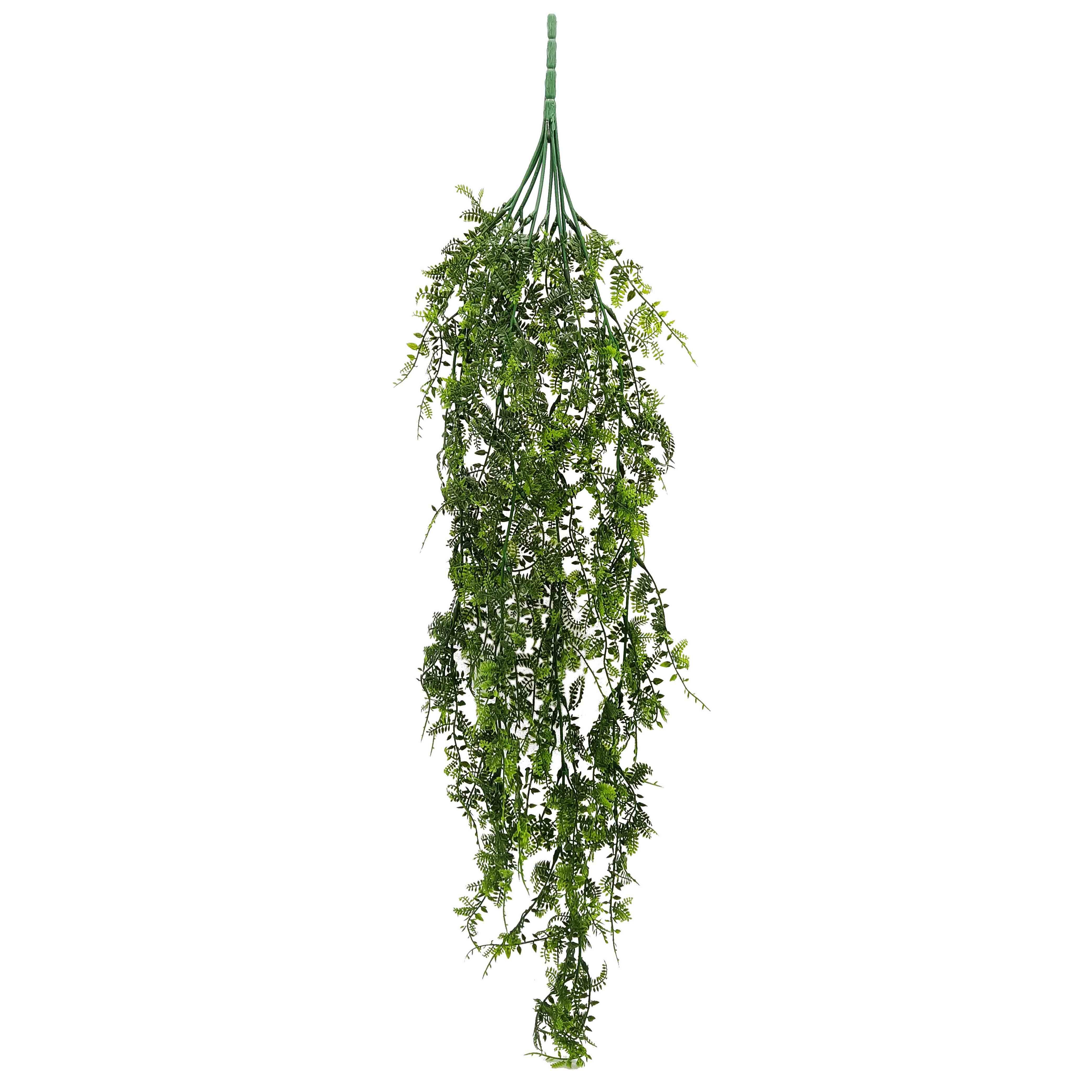 GreenaryHangingFernBush14x14x86cm(12/72)