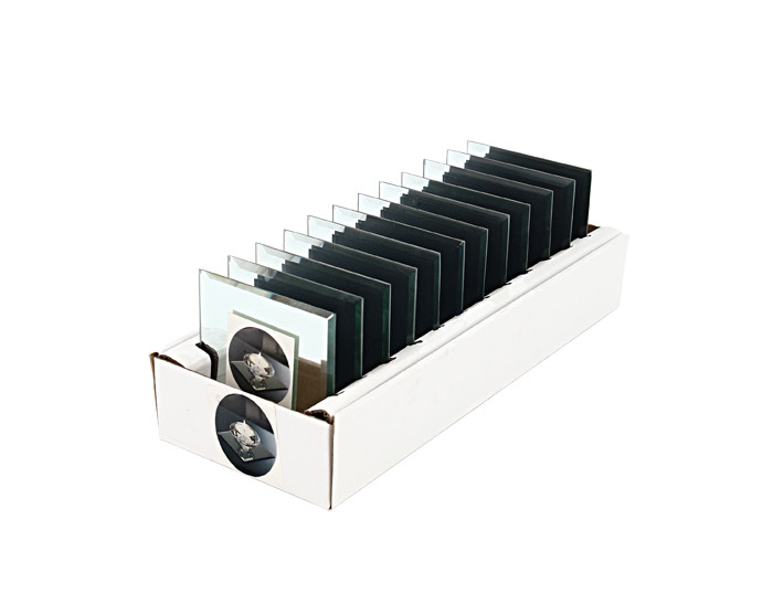 MirrorPlateSqw/BeveledEdge10x10cm(12/72)