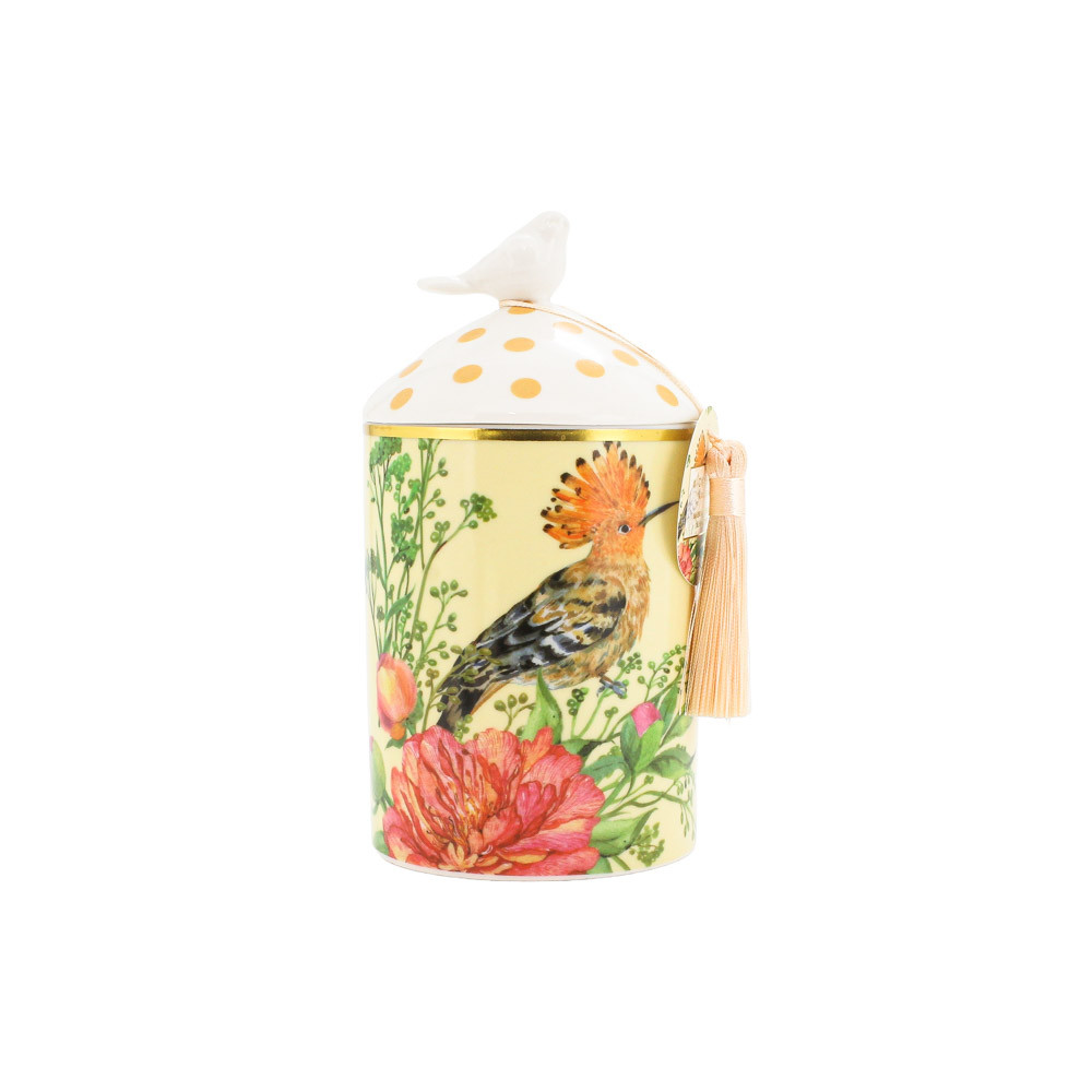 Candle Jar SOY 470g Mango & Papaya(6/6)