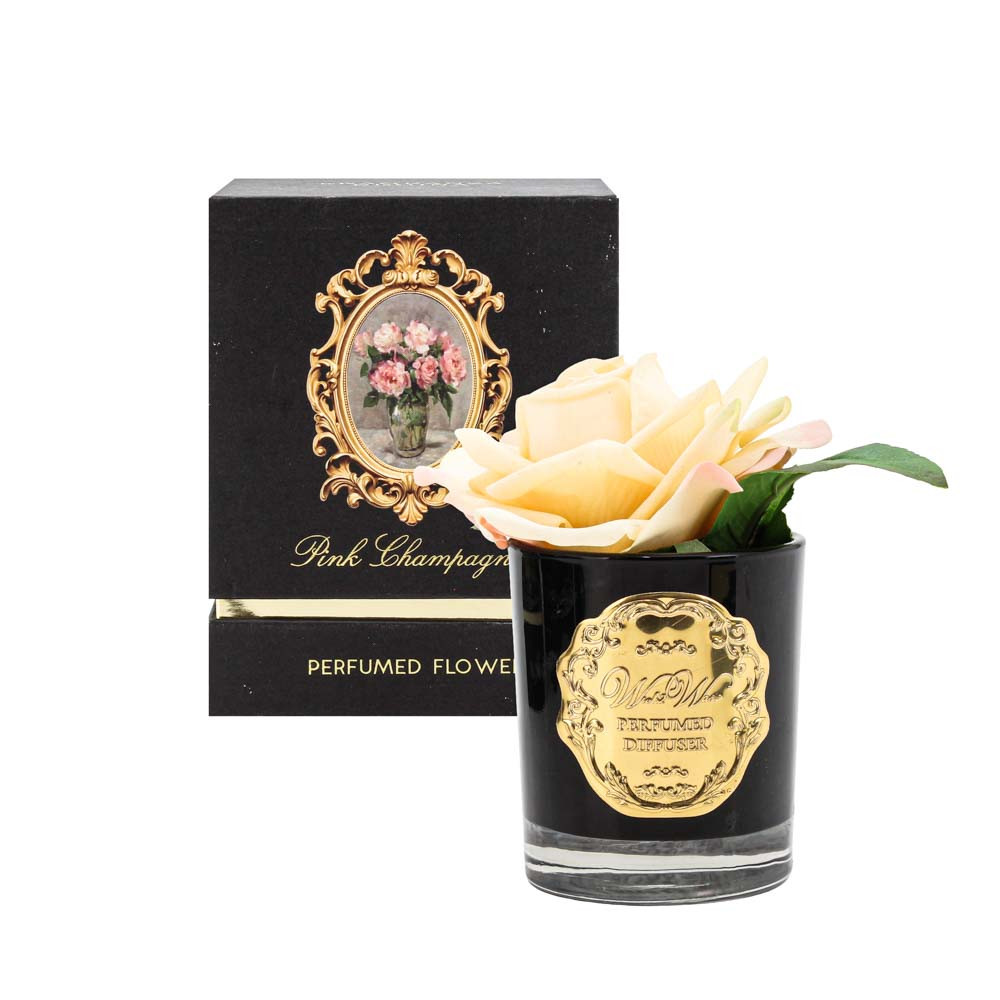 Oil Spray Display w/FlowerBergmtLim(1/6)