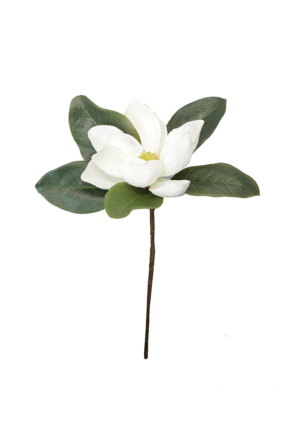 GardenMagnoliaBranch60cmHWht/Crm(24/144)