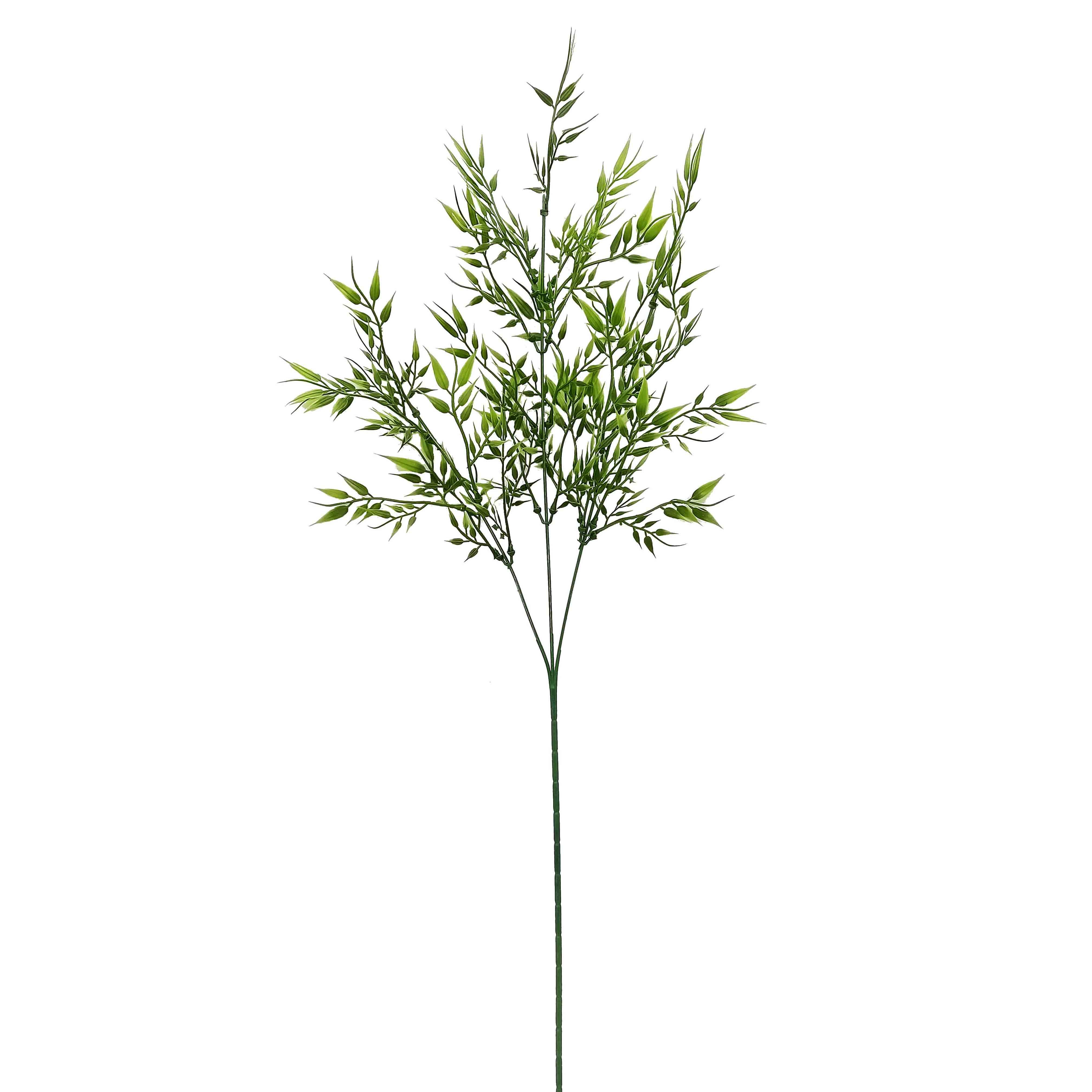 Greenary Native Branch 9x9x70cm (24/240)