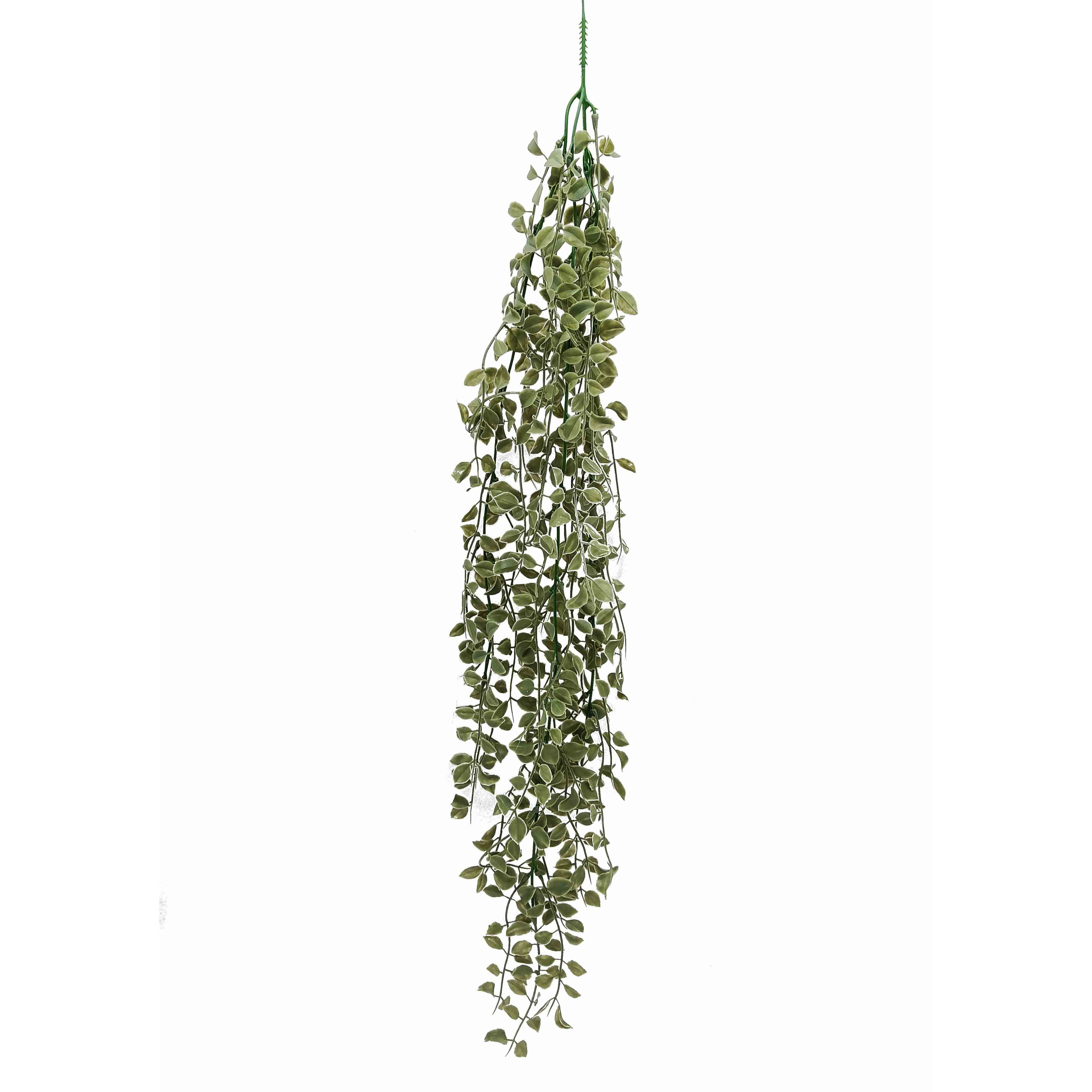 GreenaryHanging BushGrey9x9x83cm (24/96)