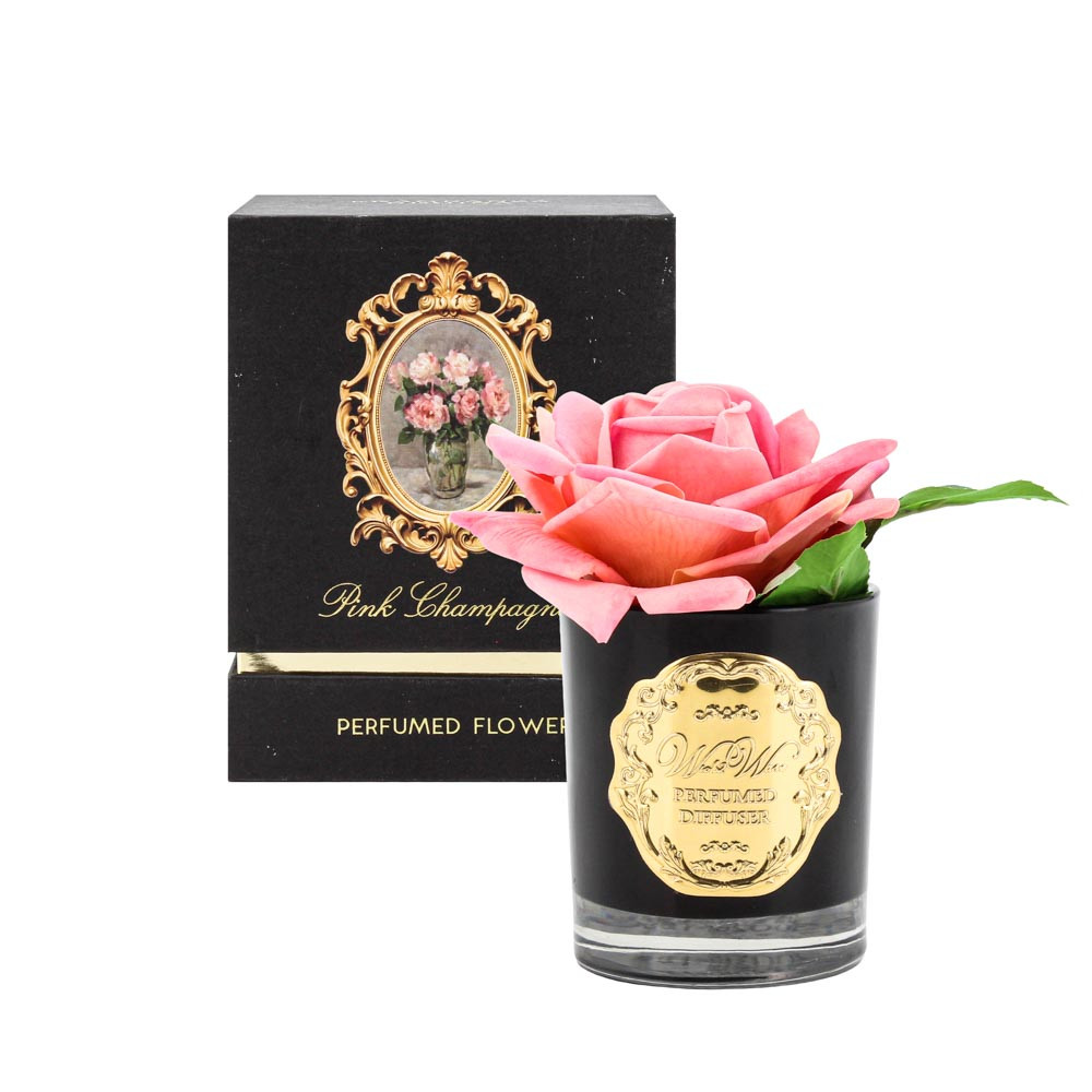 Oil Spray Displayw/FlrIsldMargarita(1/6)