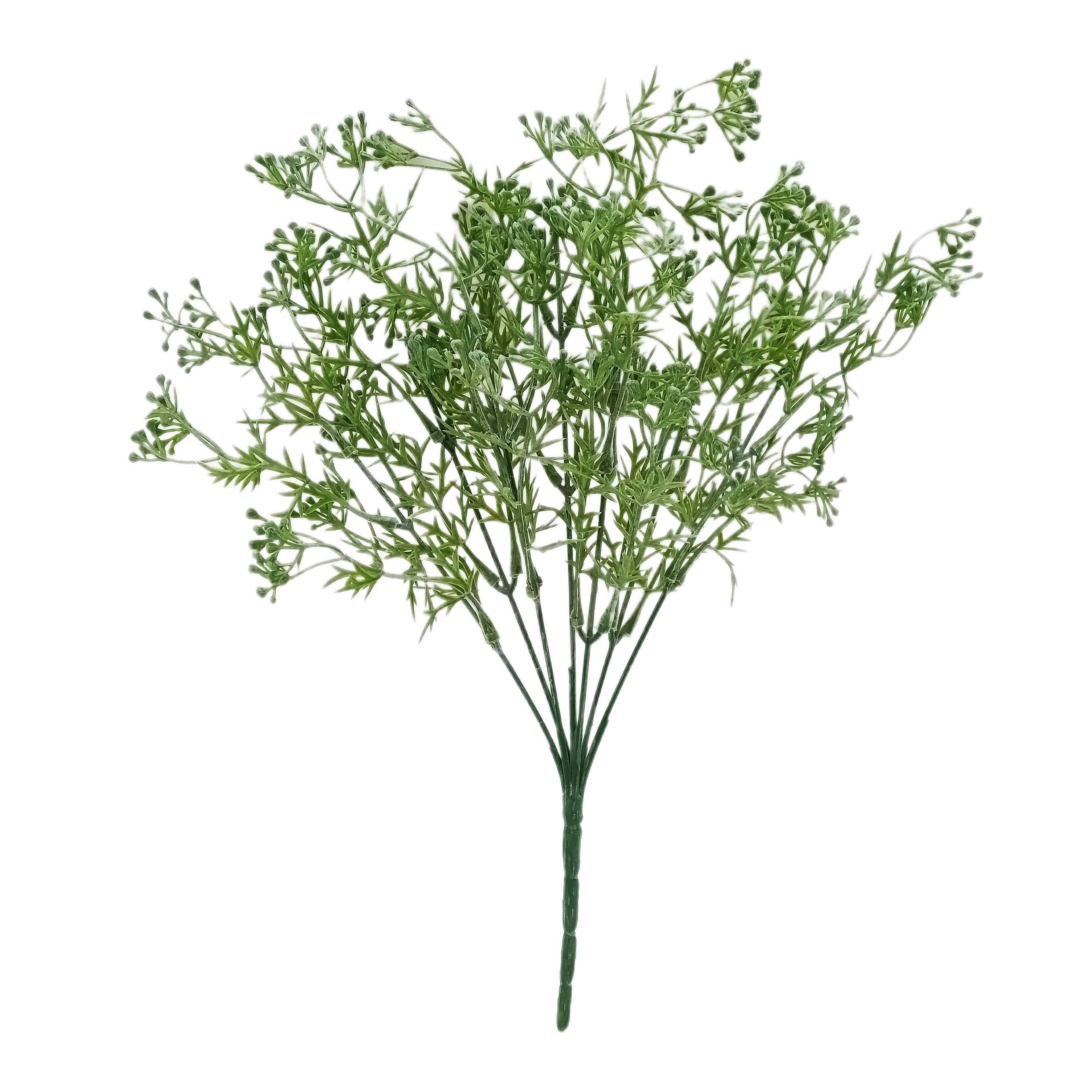 GreenaryNativeBushW/Buds13x13x37(24/240)