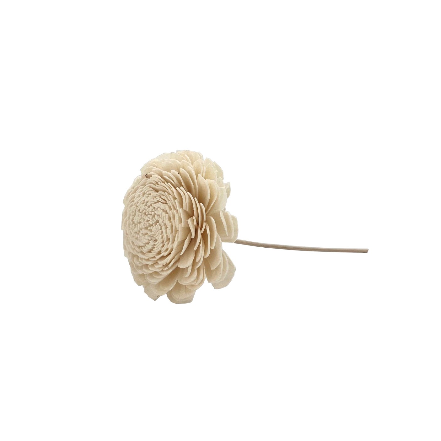 Shola Belly 8cm W/16cm Reed (1/350)