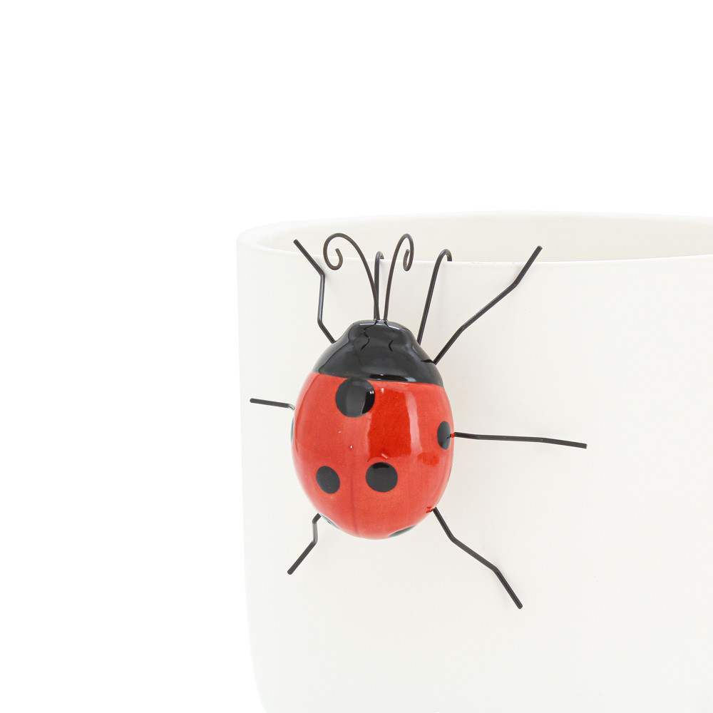 DecoLadyBugHanging13.6x12.1x5.5cm(6/36)