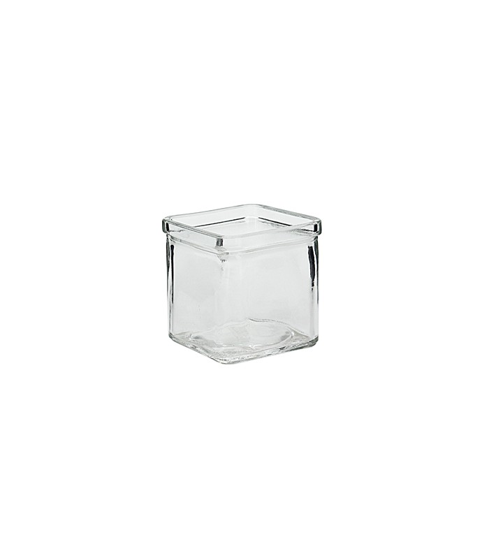 Glass Pot Clear D7.5x7.5cmH (36/36)
