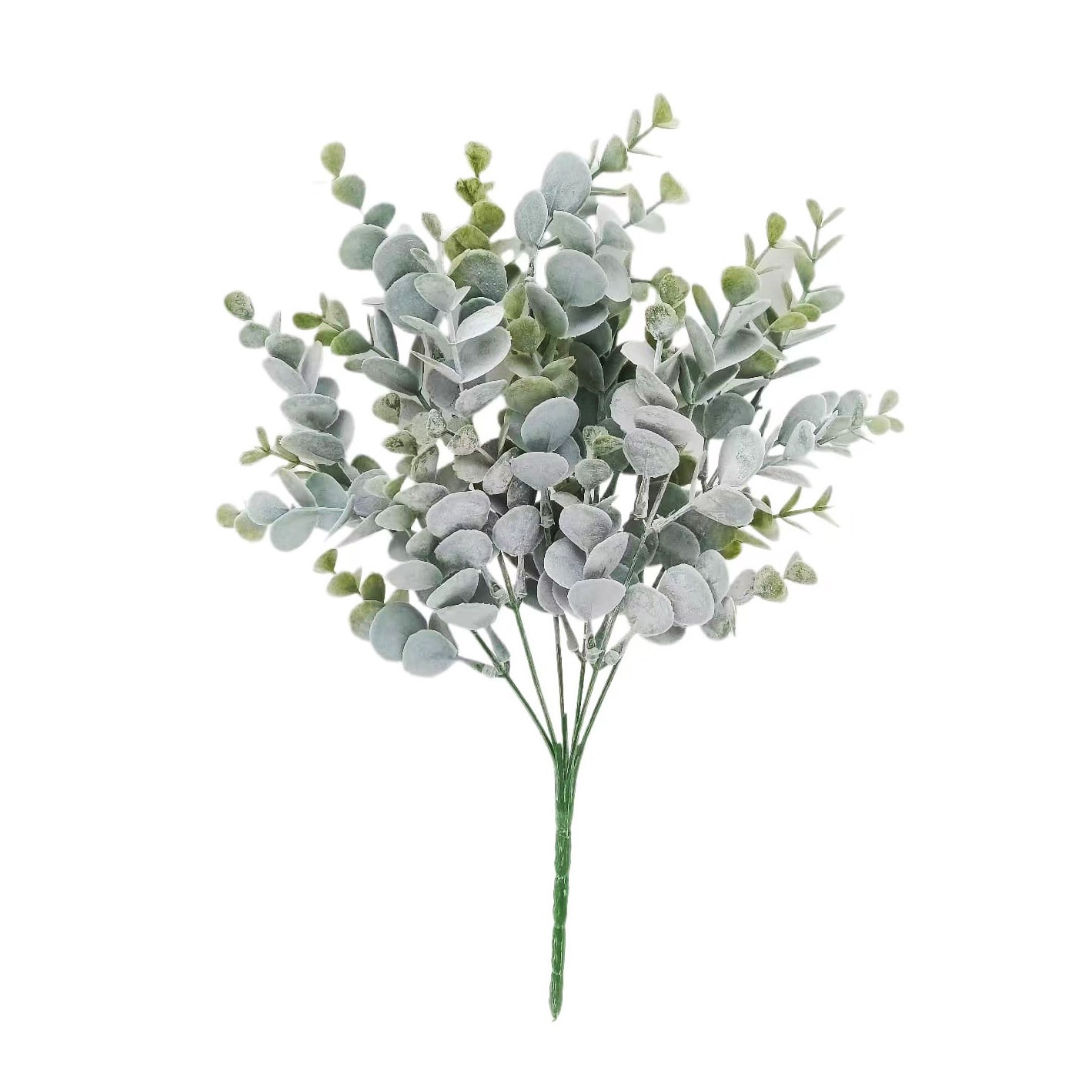 GreenaryEucalyptusGreyGn9x9x36cm(24/144)