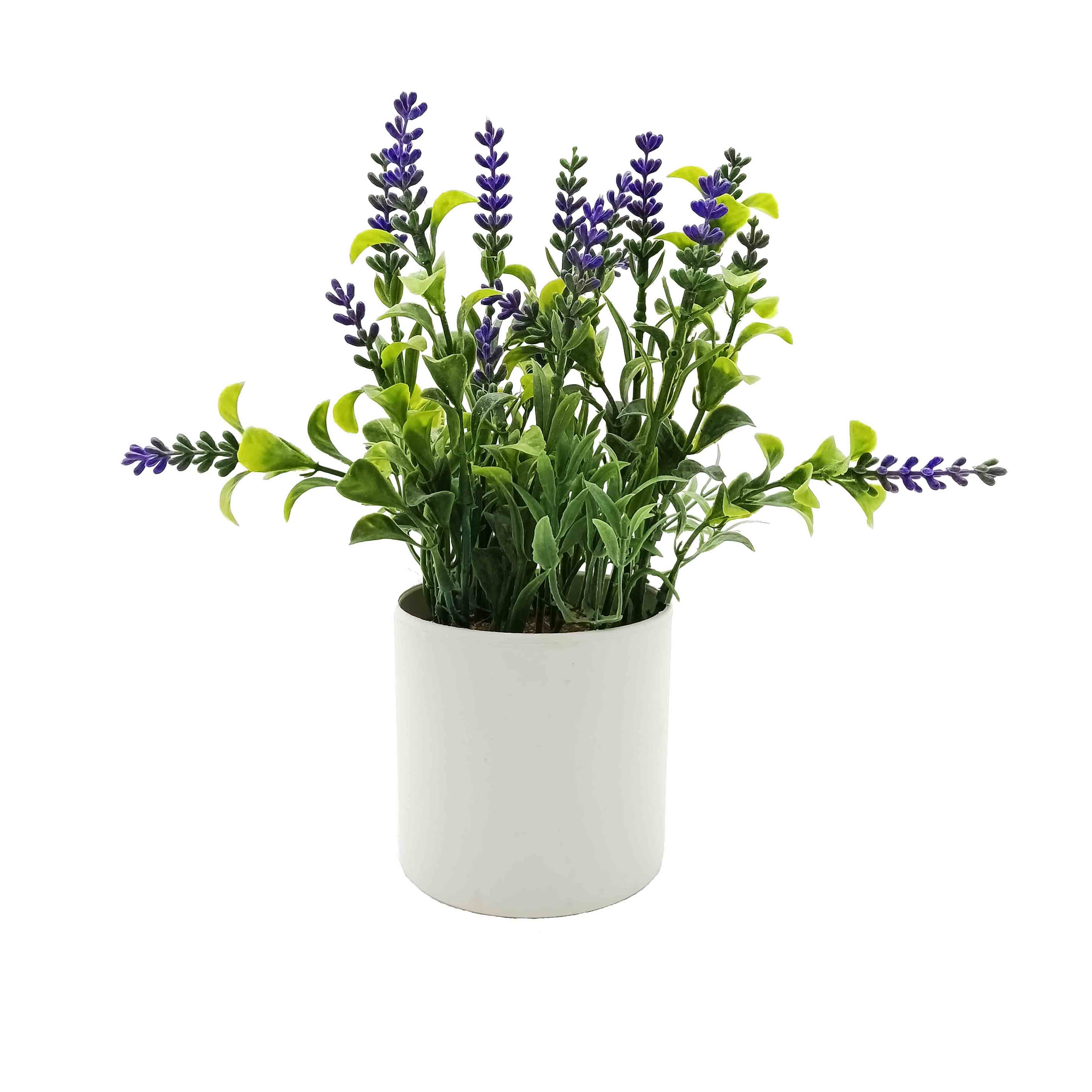 Greenary Lavender Pot 10x10x25cm (12/48)