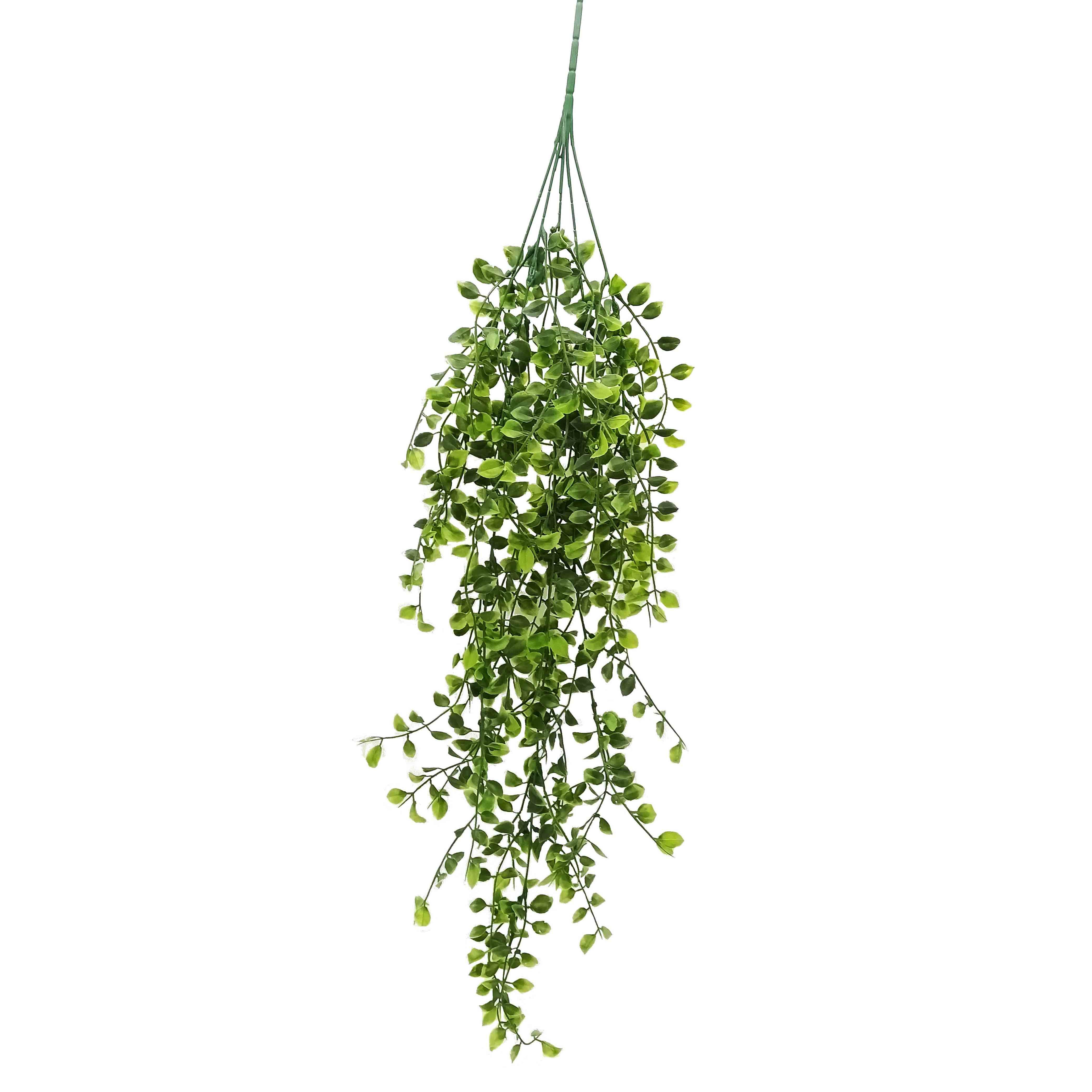 GreenaryHangingBushLtGn16x16x80cm(12/60)