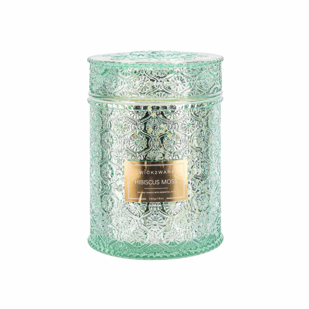 CandleJar540gTexturedHibcus&Moss(1/6)