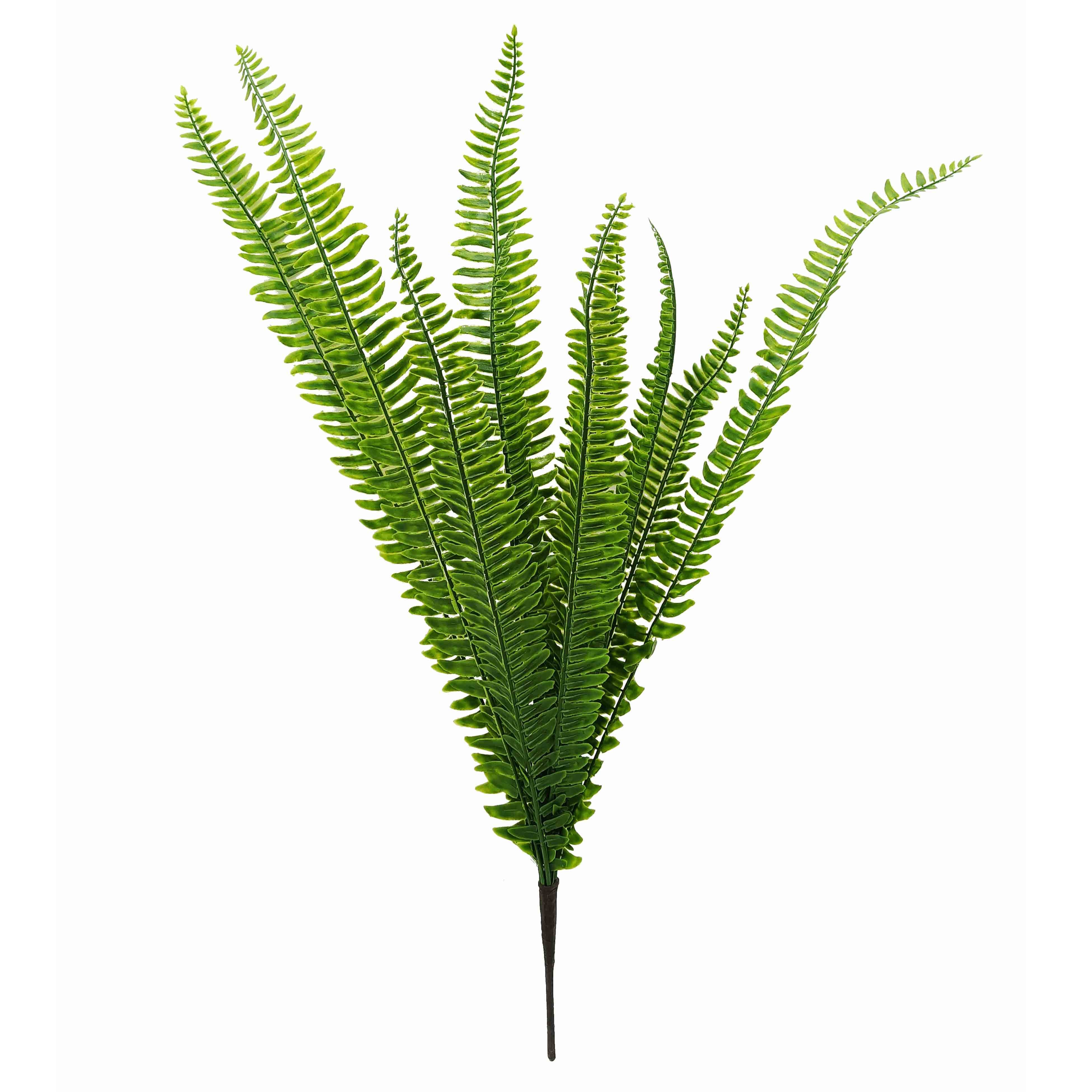 Greenary Fern Bush 12x12x67cm (12/72)