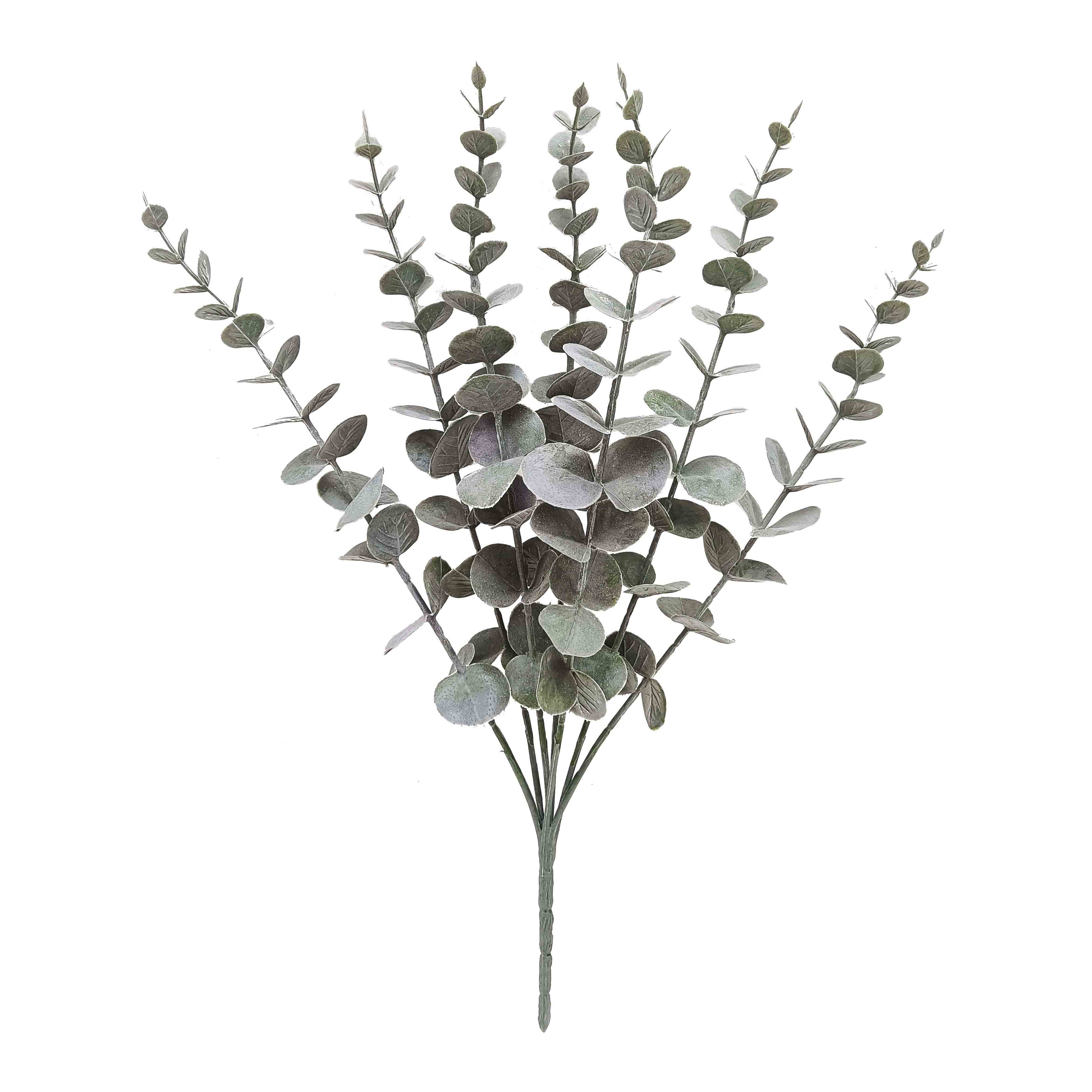 GreenaryEucalpytyus Grey9x9x39cm(24/144)