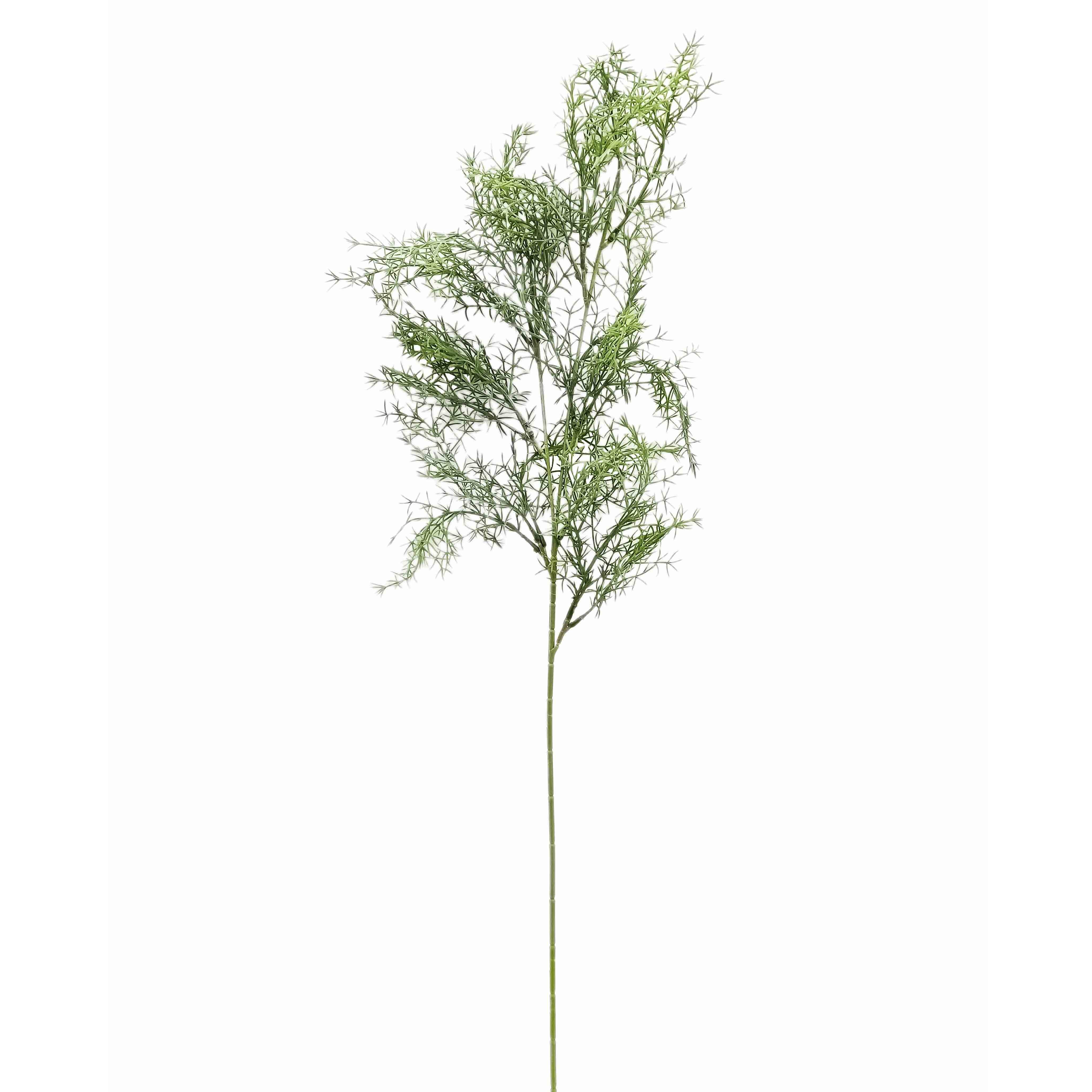 Greenary Fern Branch 6x6x86cm (24/72)