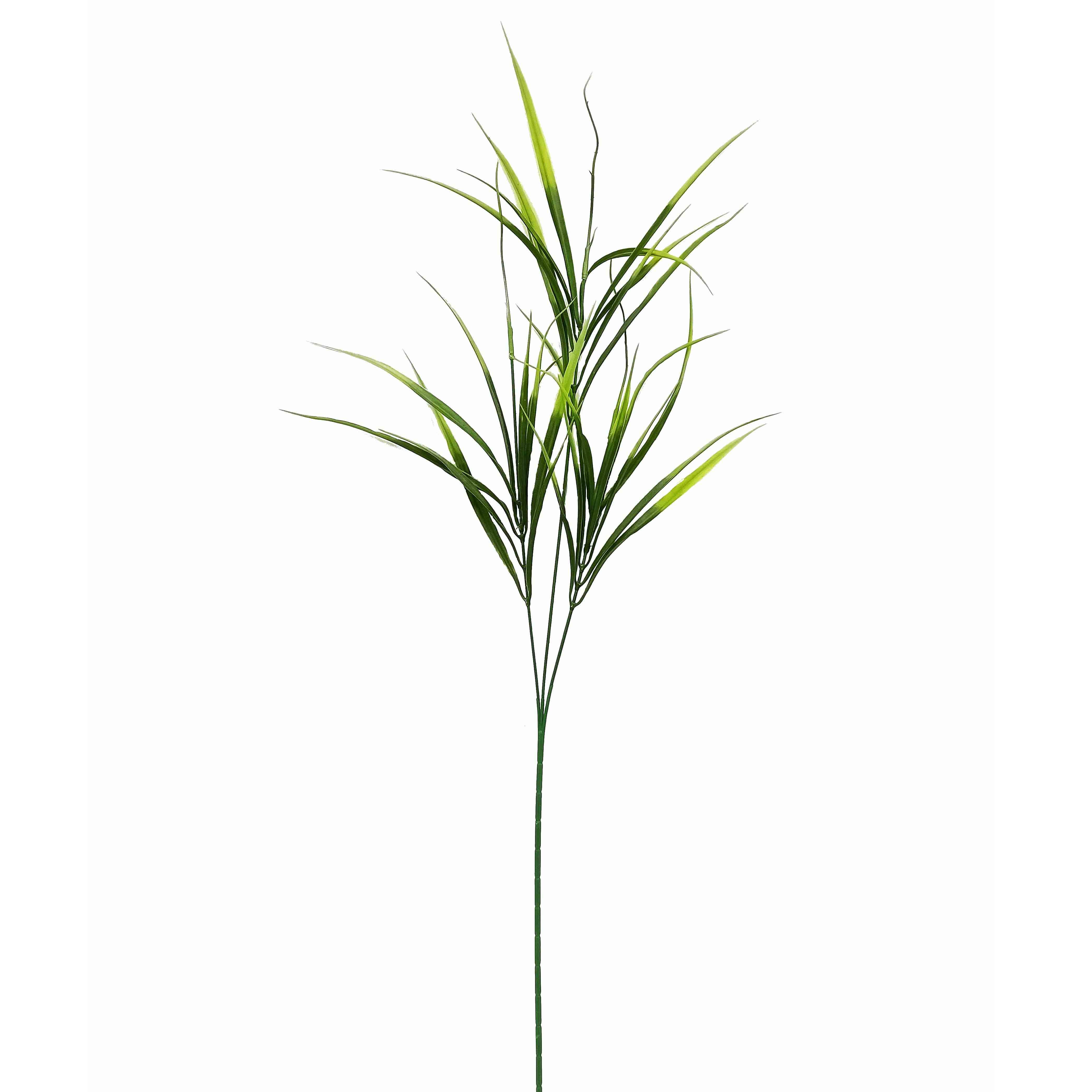 Greenary Native Grass 14x14x72cm(24/240)