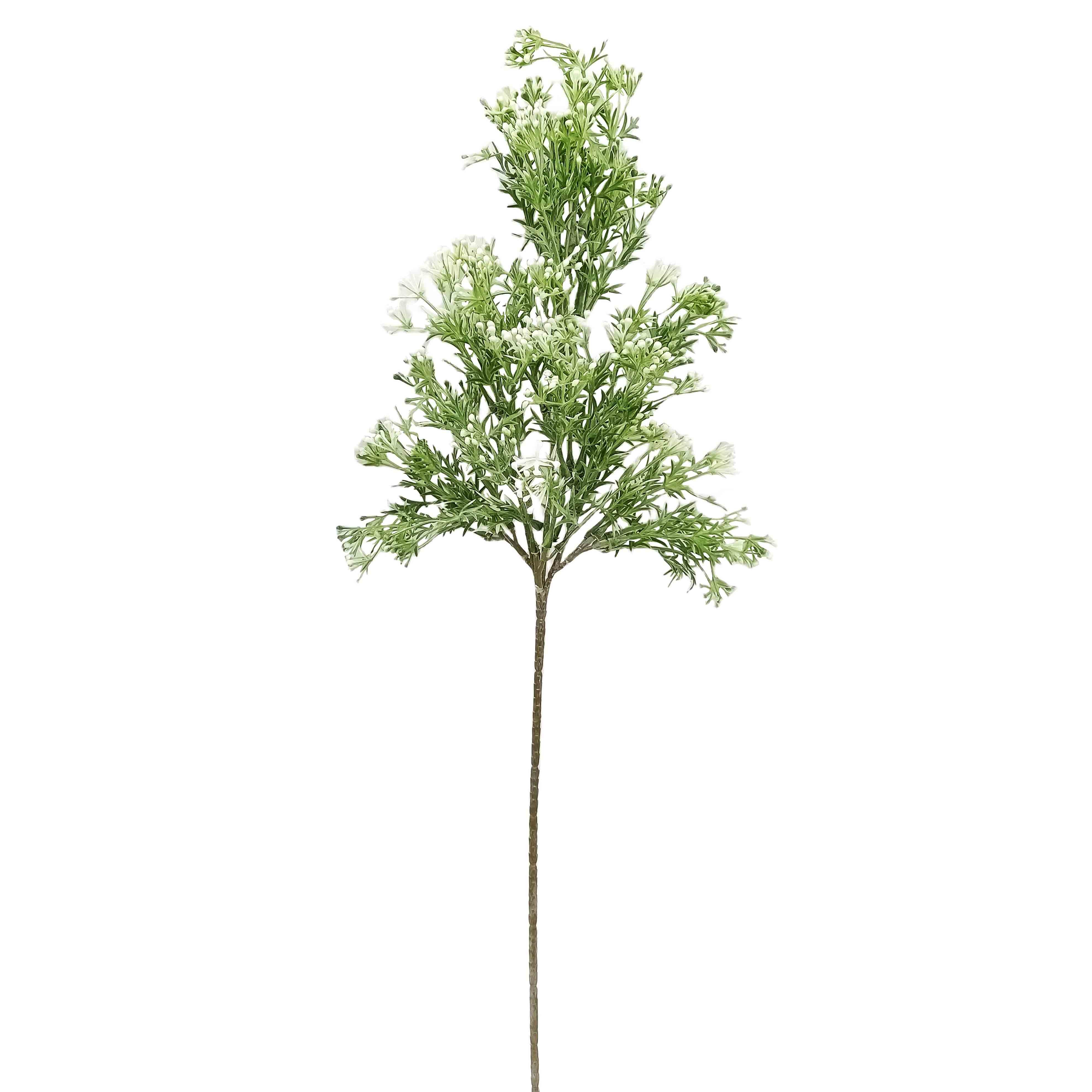 GreenaryGreenBushW/Buds20x20x62cm(12/72)