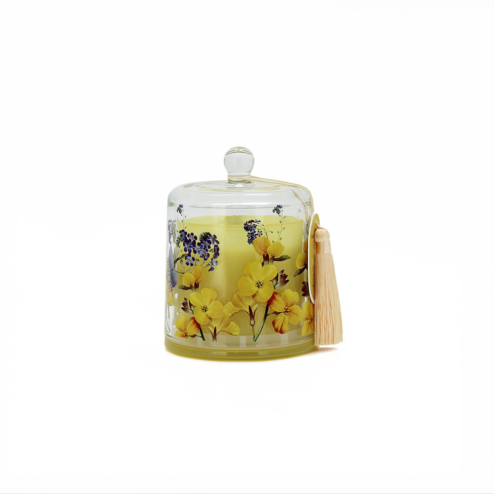 Candle Jar ClocheSOY270gFijiPlumera(6/6)