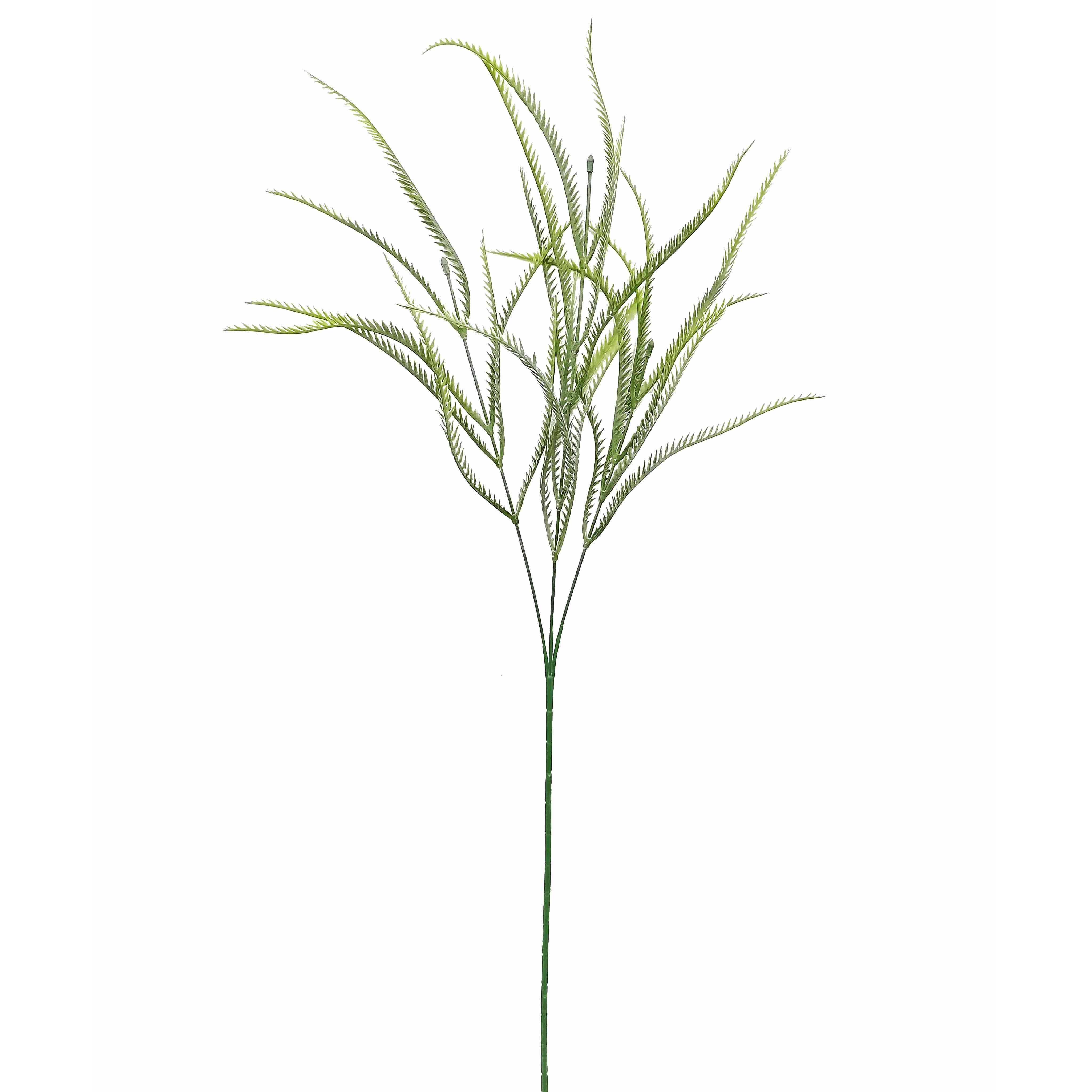 Greenary Native Grass10x10x70cm (24/240)