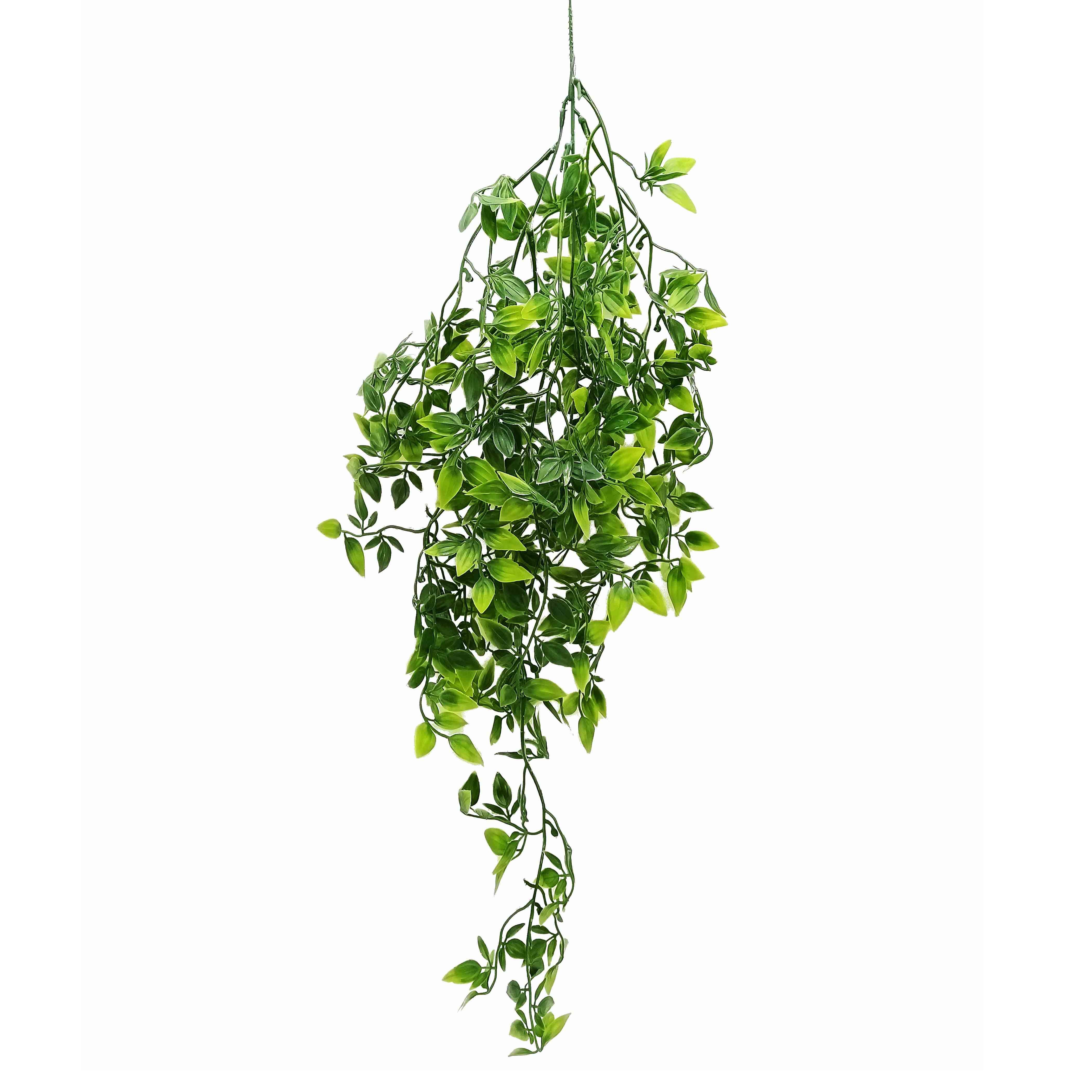 Greenary HangingClimber15x15x82cm(12/48)