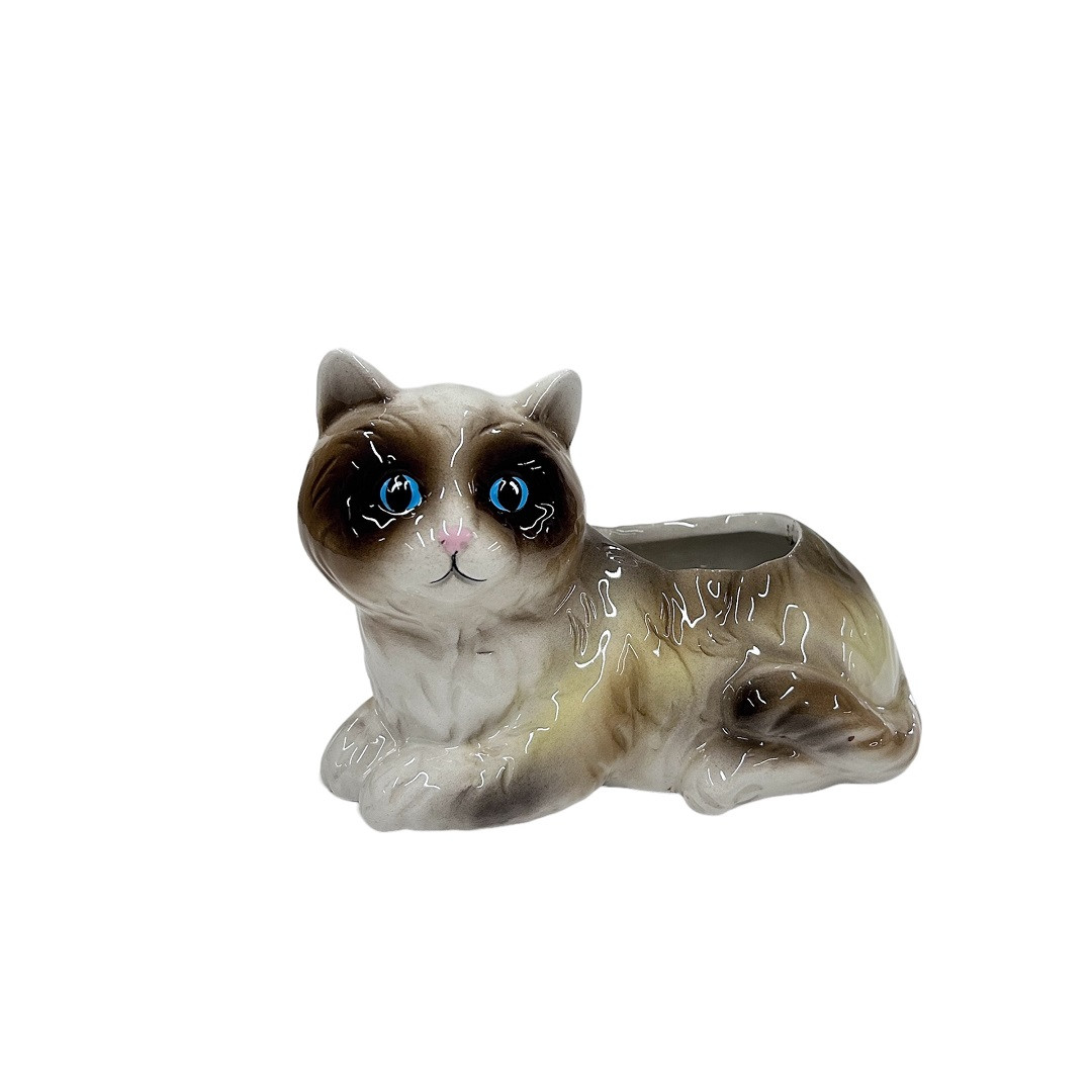 Planter Cat Crawl 13.6x8x9.6cm (6/24)