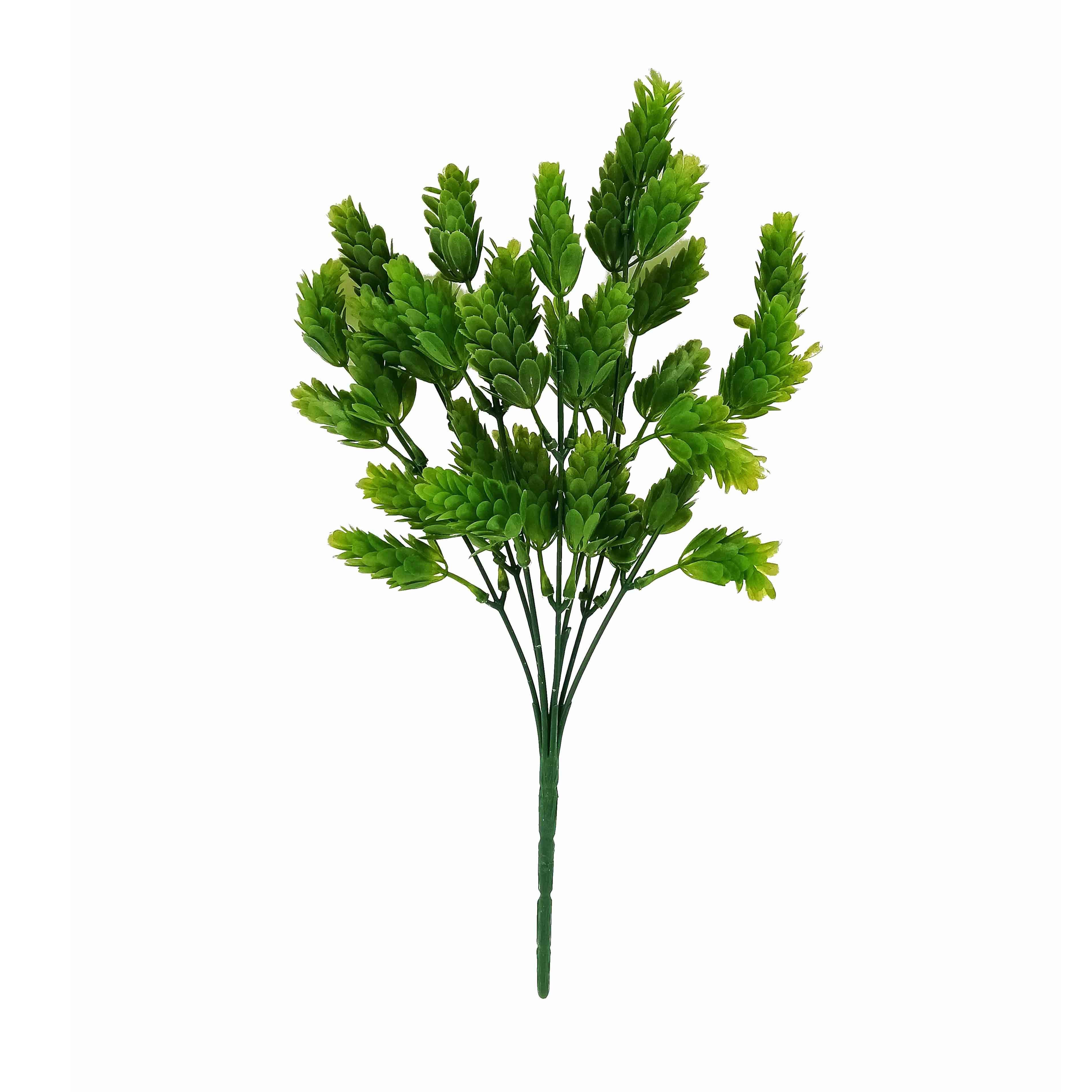 GreenaryNativeBushGren12x12x33cm(24/240)