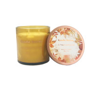 Candle Jar SOY360g Autumn Daydream(6/12)