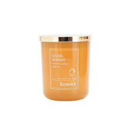 Candle Jar SOY 450g Guava Mango (6/6)
