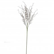 GreenaryCurlyWilowBrch12x12x81cm(24/240)