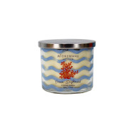 Candle JarSOY360g10x9OceanDriftwood(6/6)