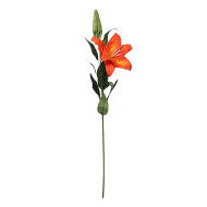 Lilium Spray 91cmH -Orange (12/72)