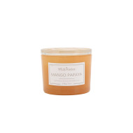 Candle Jar SOY 340g Mango Papaya (6/6)