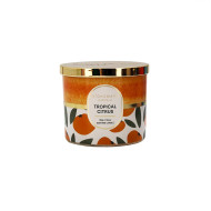 Candle JarSOY360g10x9TropicalCirtus(6/6)
