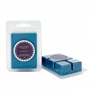 TwiltFrtSoyWaxMelt55g-Black Musk(24/144)