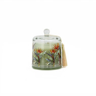 Candle Jar SOYCloche 270gGuavaMango(6/6)