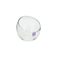GlassVaseCutTopTerrarium15x15cmH (1/12)