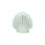 Shell Deco 16.3x8.7x17.3cm (1/18)